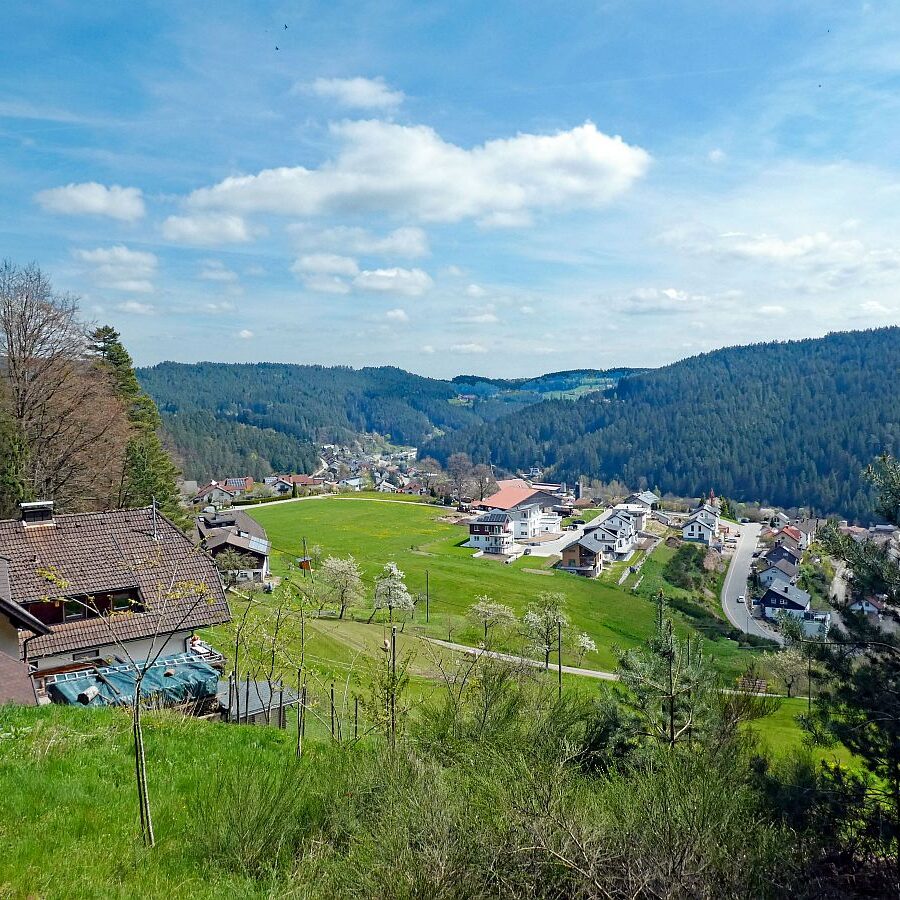 Dorfblickrunde Tennenbronn 16