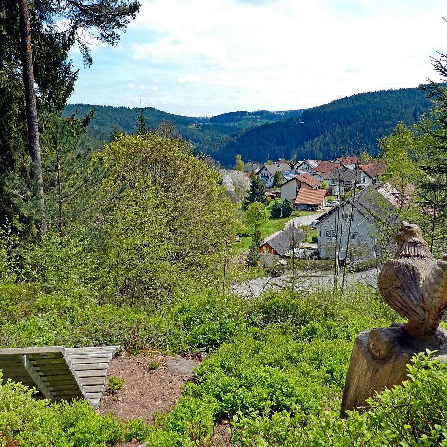 Dorfblickrunde Tennenbronn 17