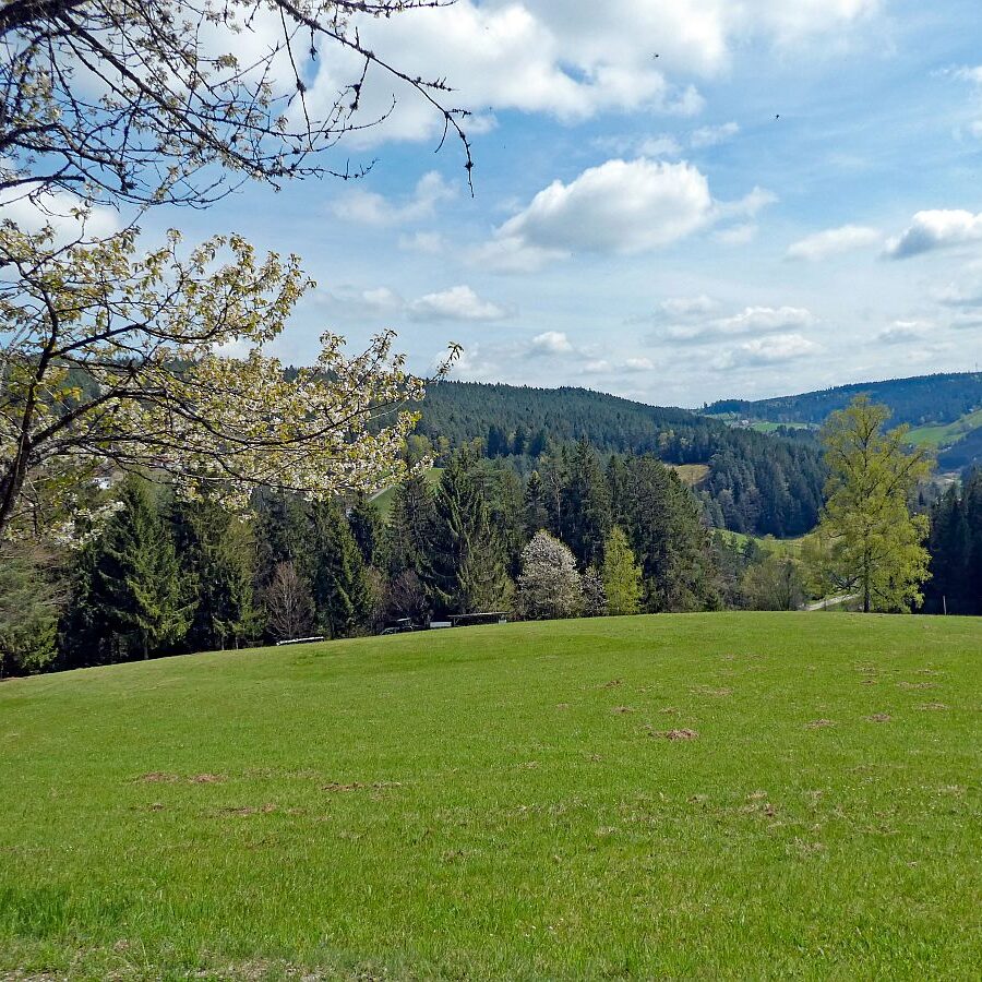 Dorfblickrunde Tennenbronn 19