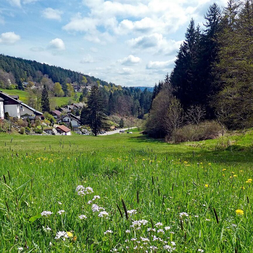 Dorfblickrunde Tennenbronn 20