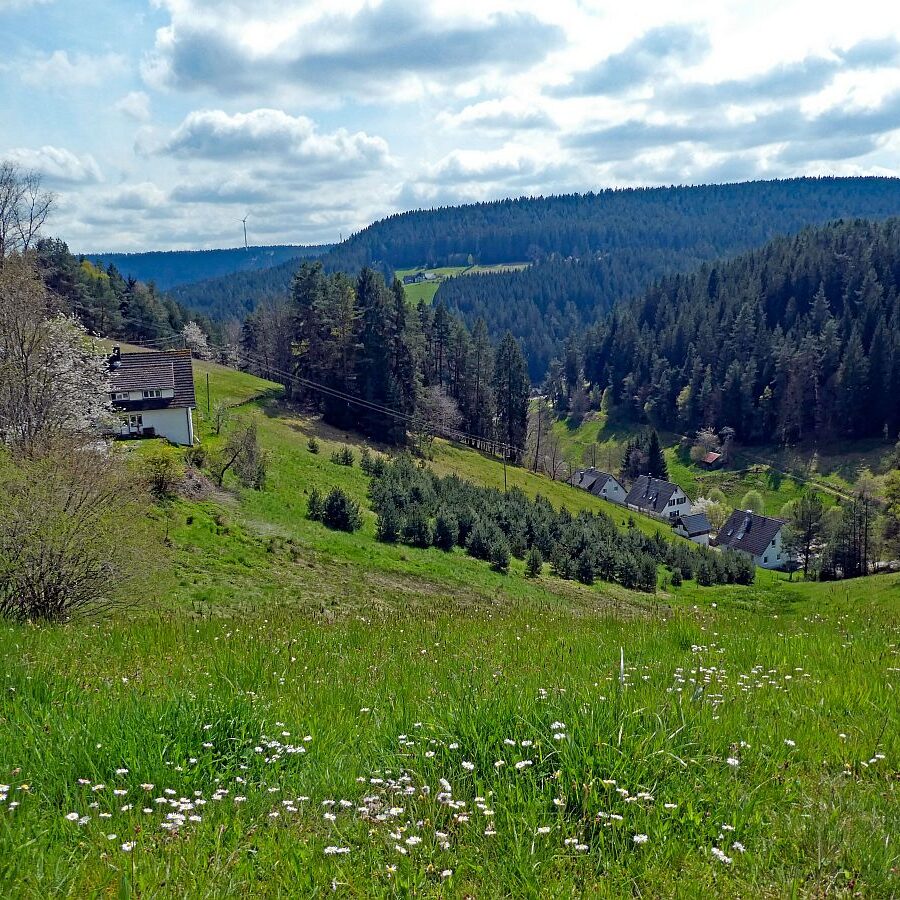Dorfblickrunde Tennenbronn 21