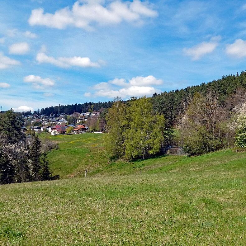 Dorfblickrunde Tennenbronn 22