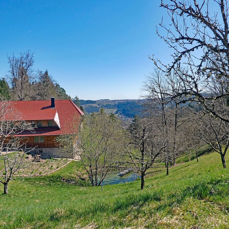 Kohlemeilerweg Lauterbach 06