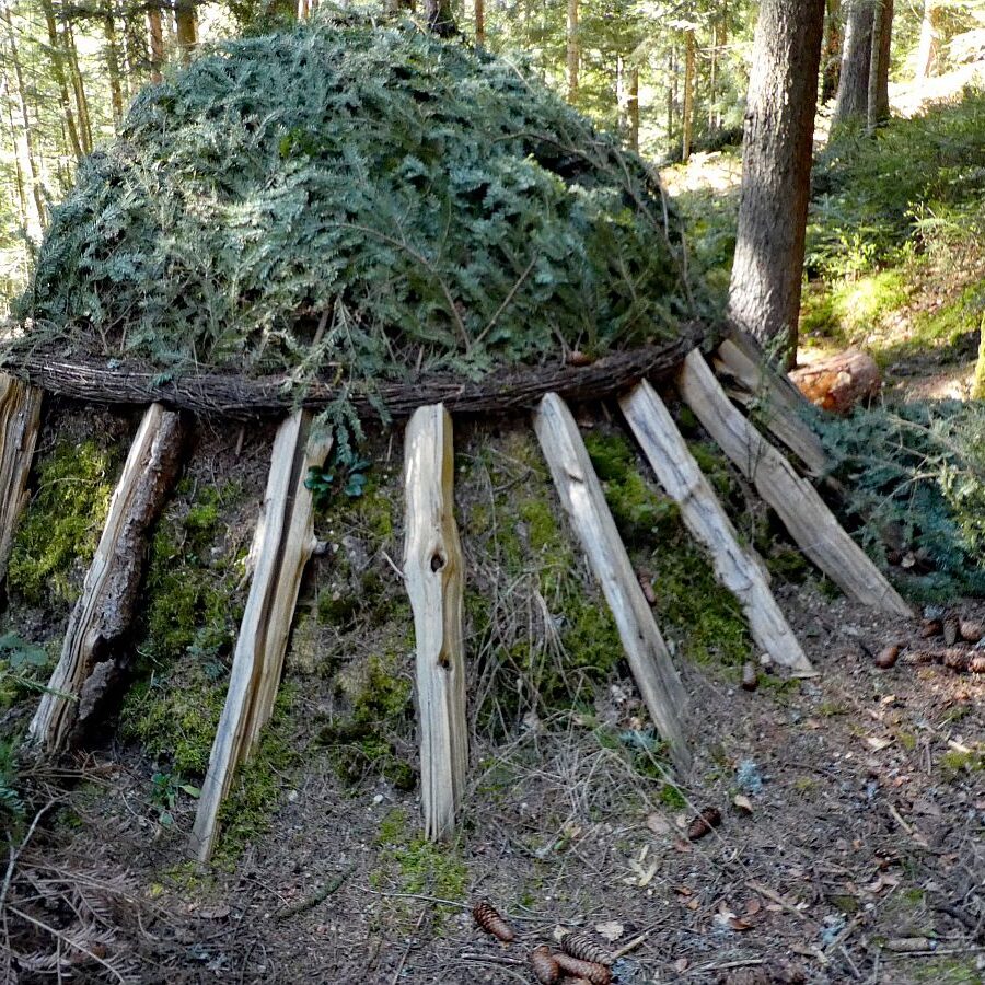 Kohlemeilerweg Lauterbach 08