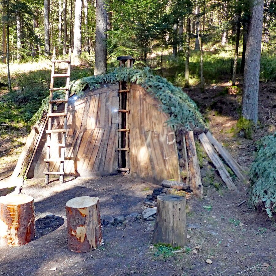 Kohlemeilerweg Lauterbach 09