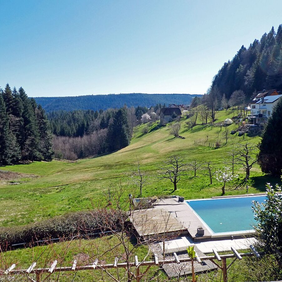 Kohlemeilerweg Lauterbach 11