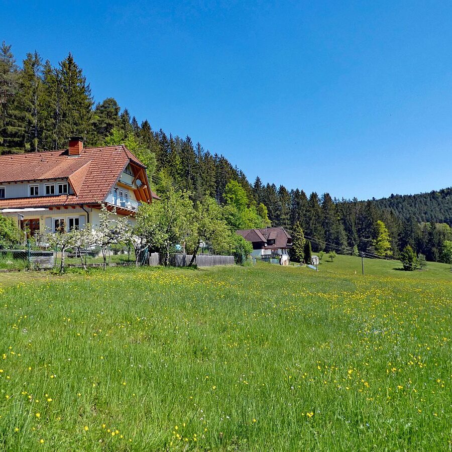 Auerhahnweg Tennenbronn 02