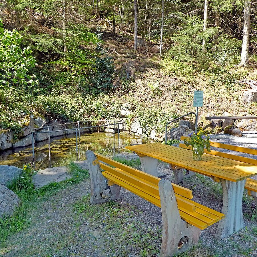 Auerhahnweg Tennenbronn 03