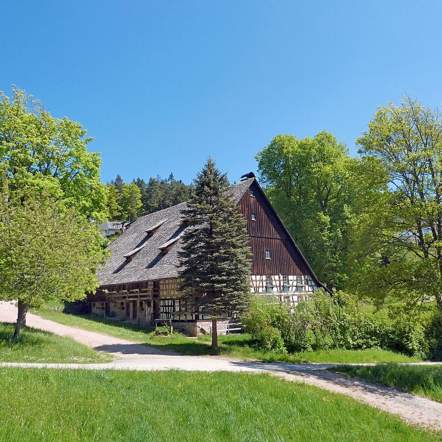 Auerhahnweg Tennenbronn 04