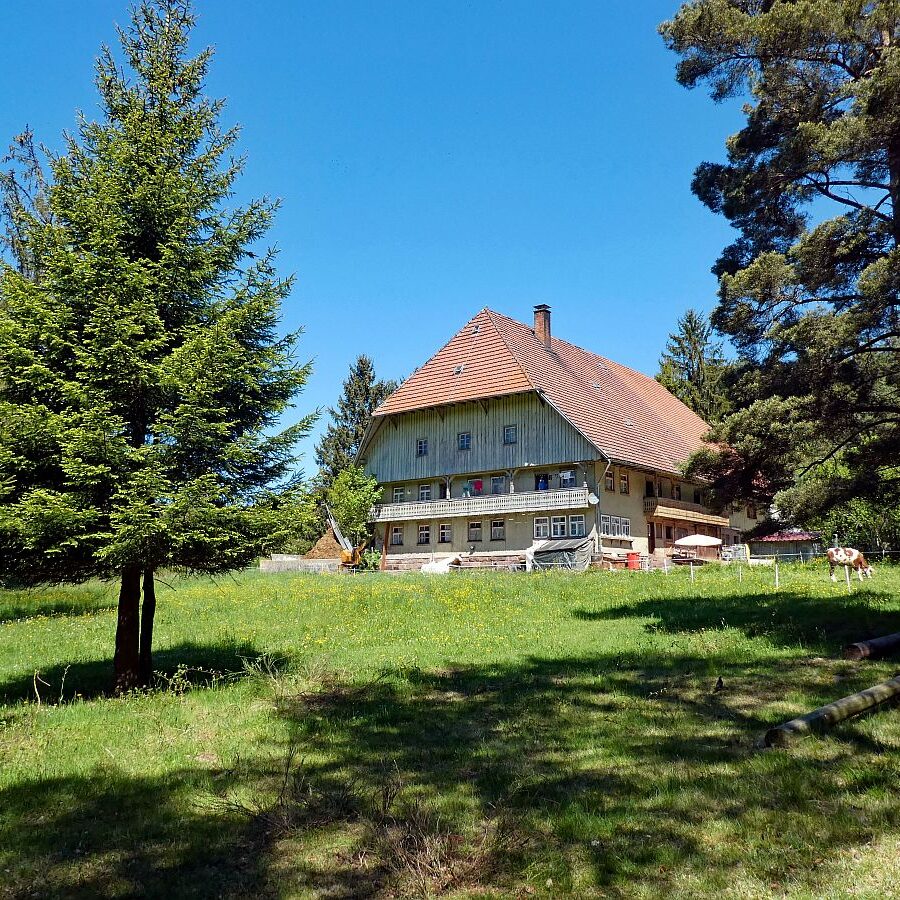 Auerhahnweg Tennenbronn 05