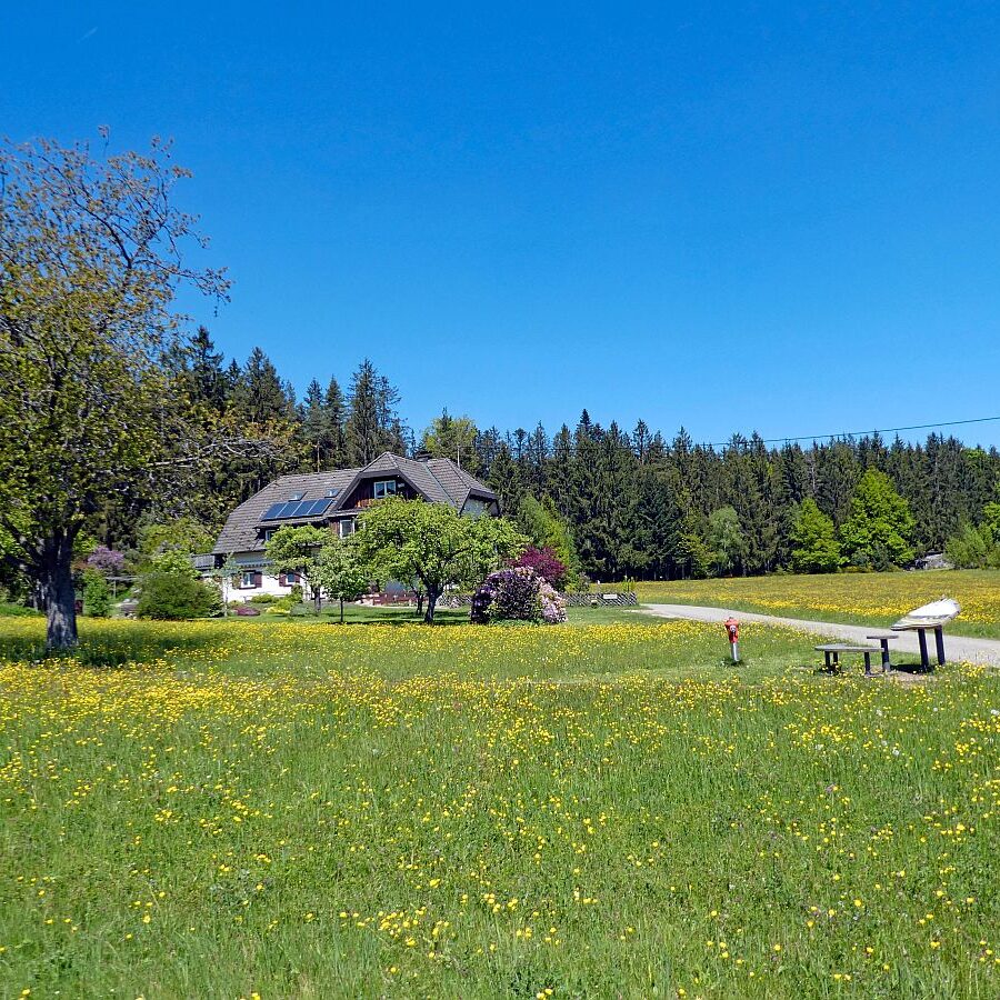 Auerhahnweg Tennenbronn 09