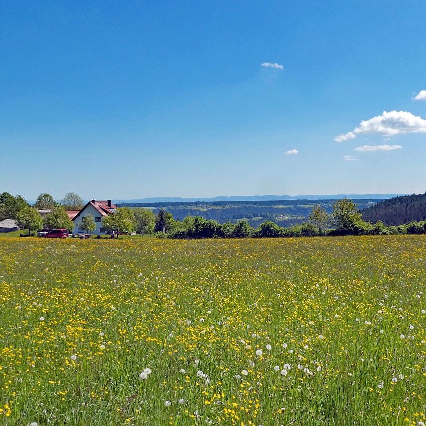 Auerhahnweg Tennenbronn 10