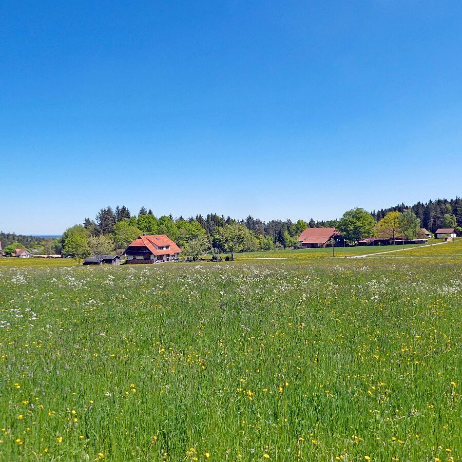 Auerhahnweg Tennenbronn 15