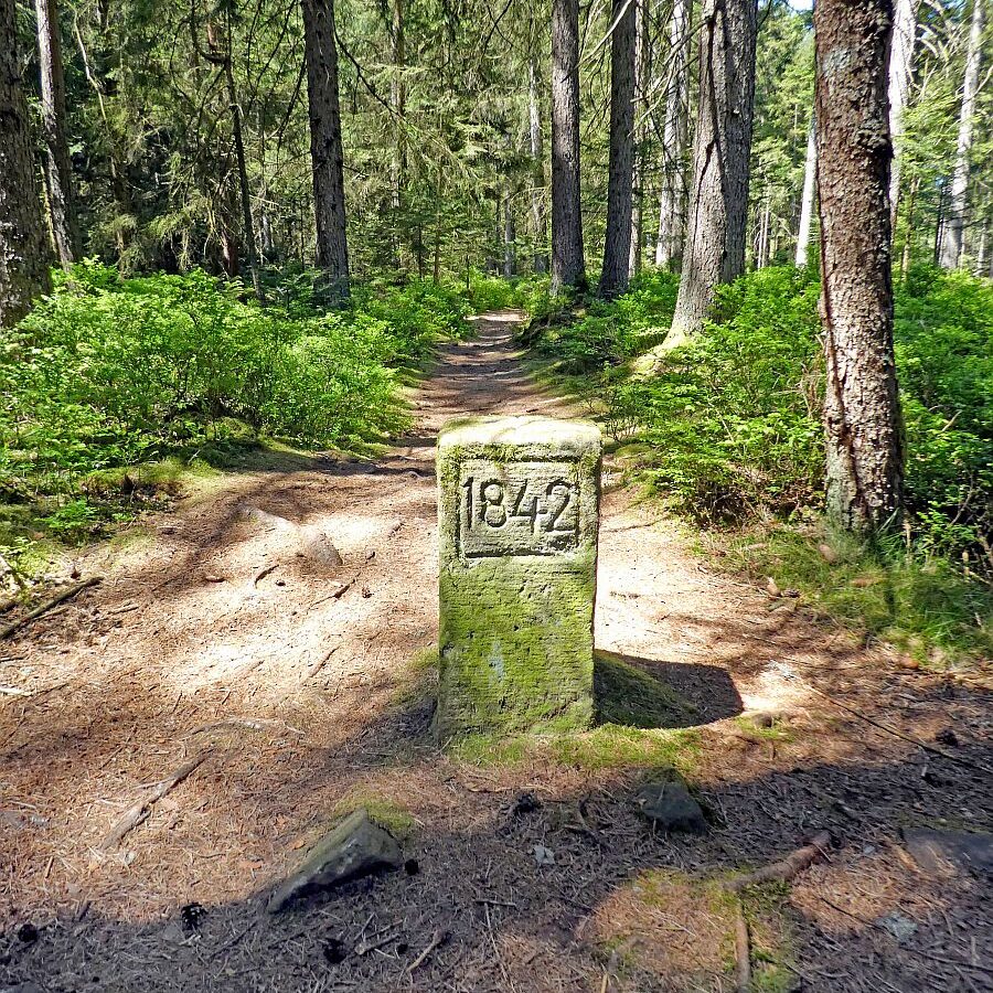 Auerhahnweg Tennenbronn 16