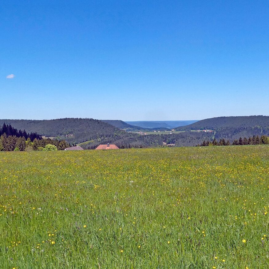 Auerhahnweg Tennenbronn 17