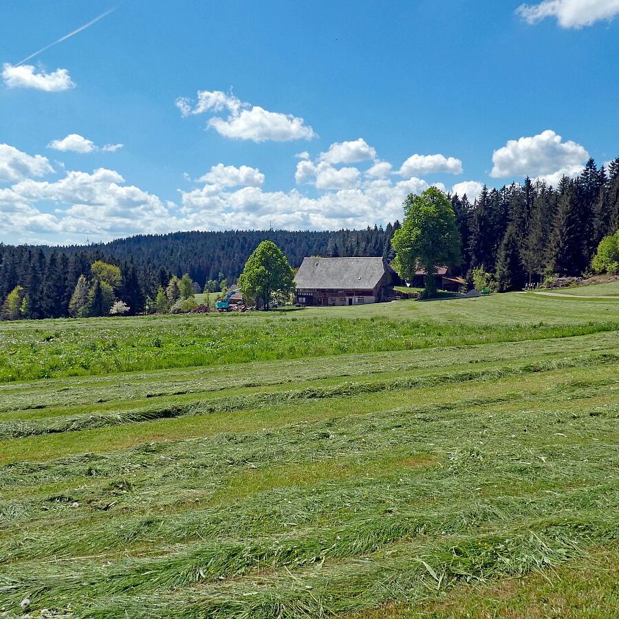 Auerhahnweg Tennenbronn 18