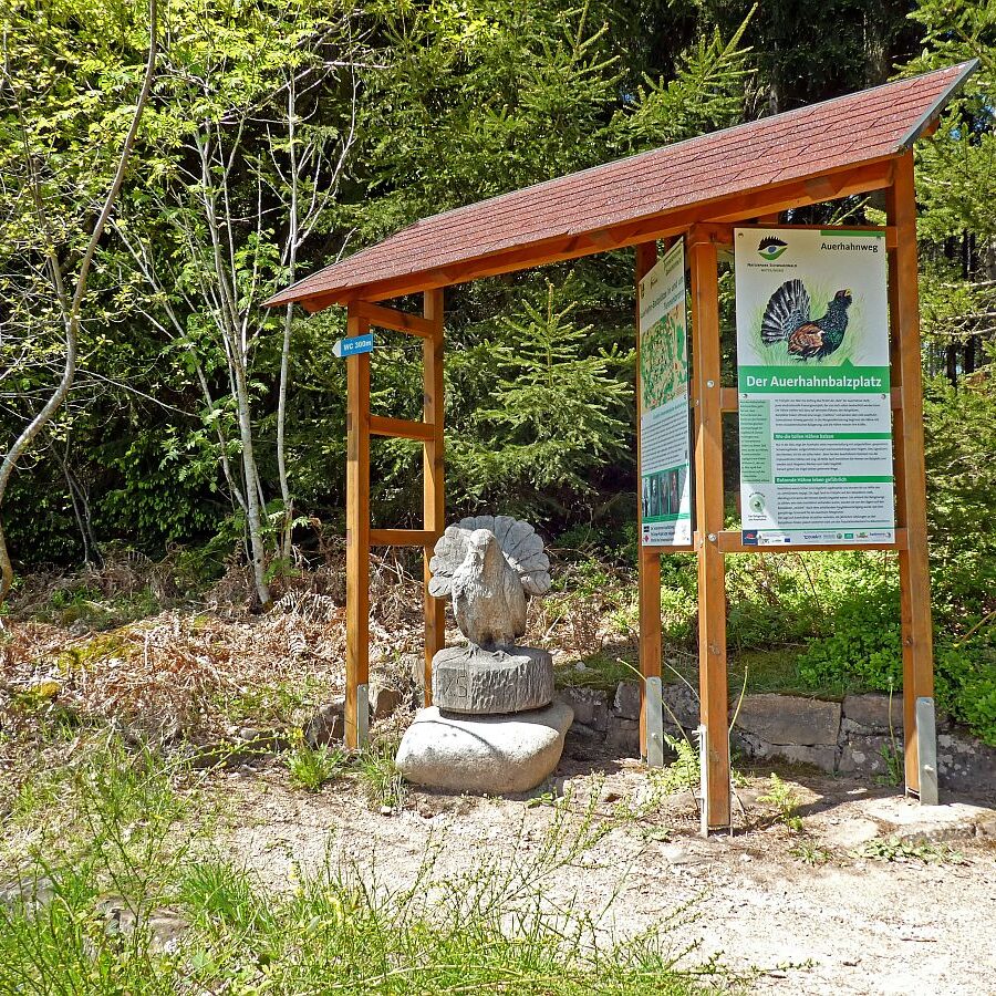 Auerhahnweg Tennenbronn 19