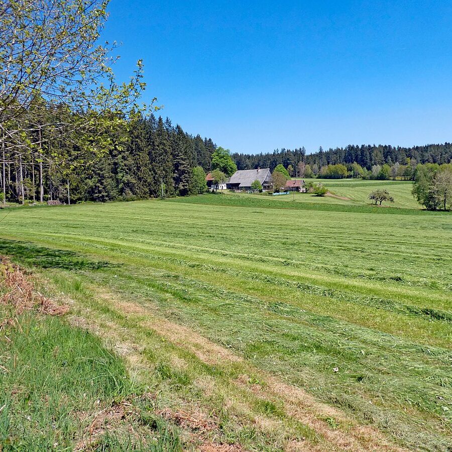 Auerhahnweg Tennenbronn 20