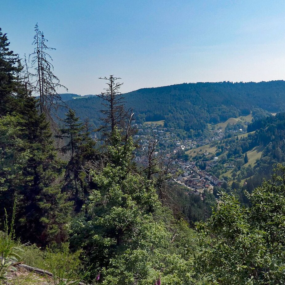 Berneck Tennenbronn 02