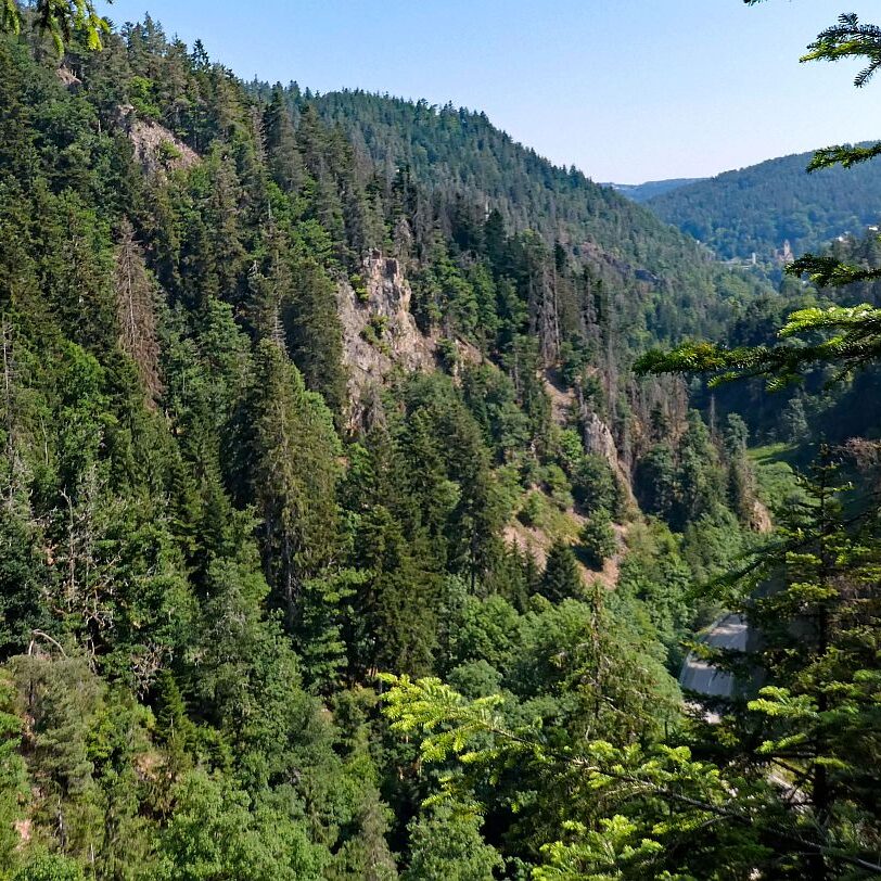 Berneck Tennenbronn 03