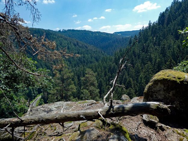 Berneck Tennenbronn 11 Berneck Tennenbronn 11