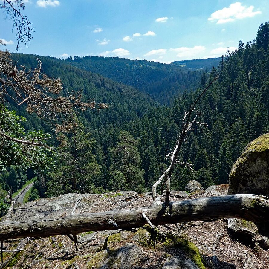 Berneck Tennenbronn 11