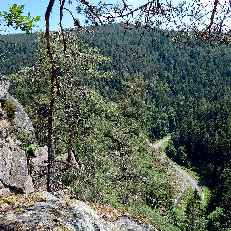 Berneck Tennenbronn 13