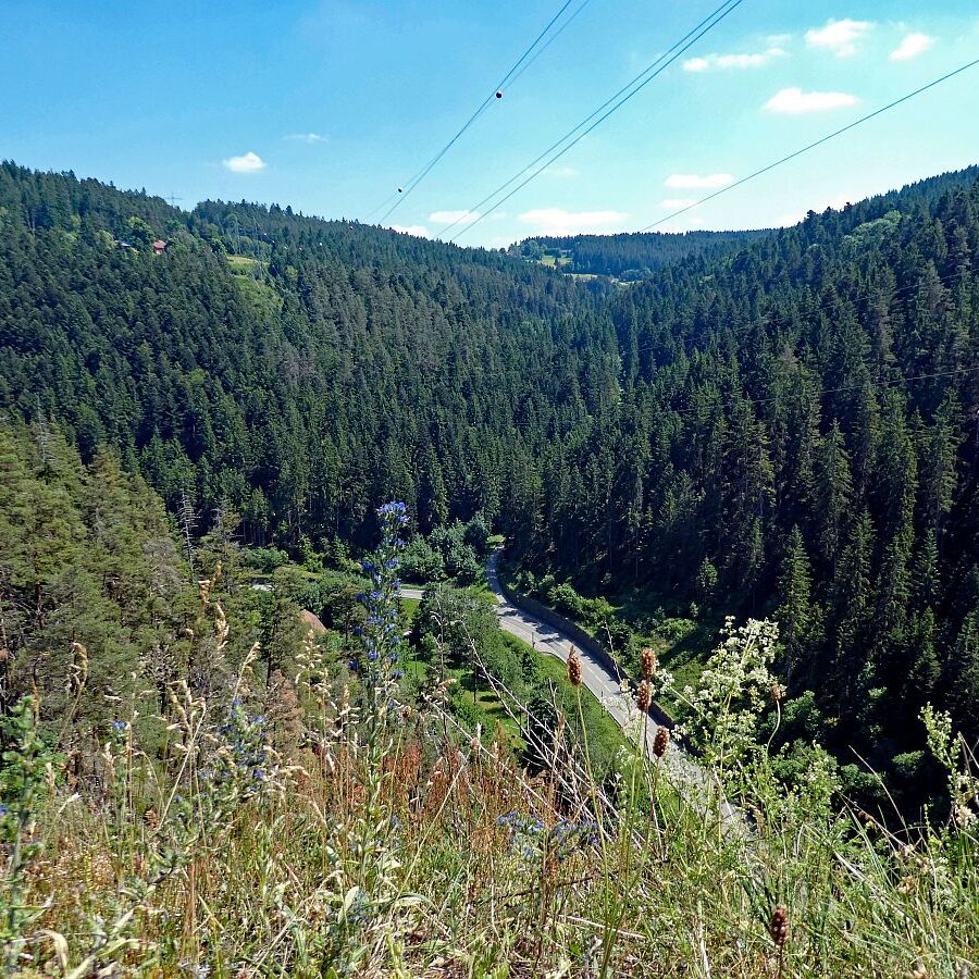 Berneck Tennenbronn 17