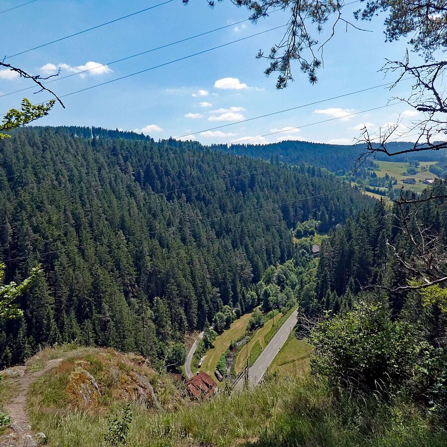 Berneck Tennenbronn 18