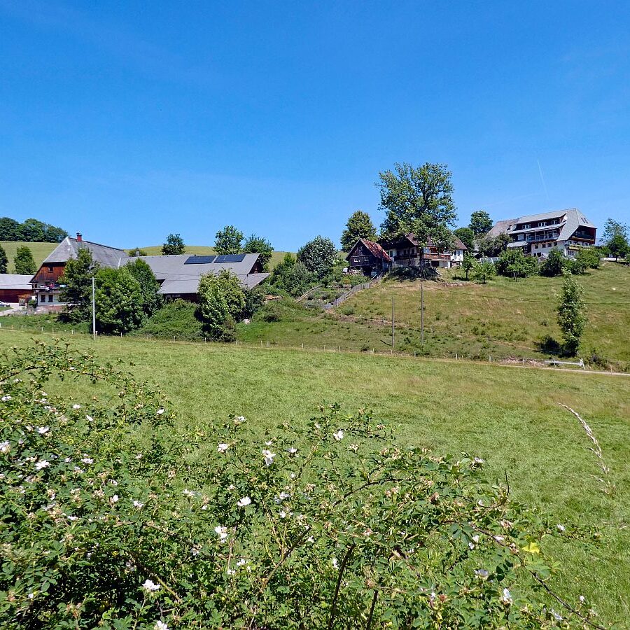 Mooshof Schwarz Dobel 02