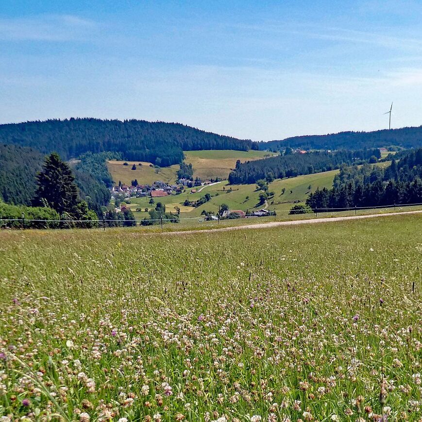 Mooshof Schwarz Dobel 03