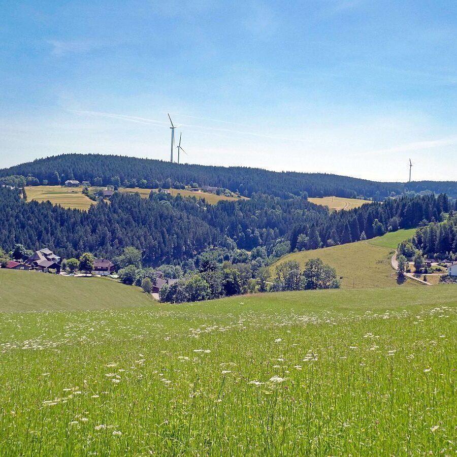 Mooshof Schwarz Dobel 05