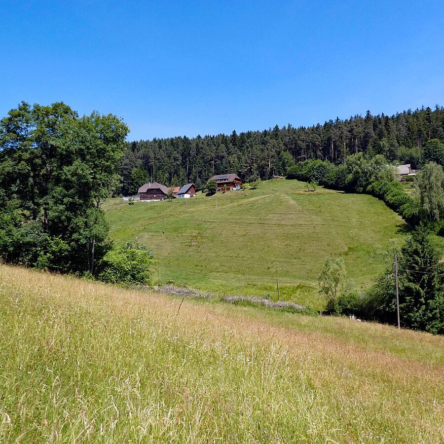 Mooshof Schwarz Dobel 06