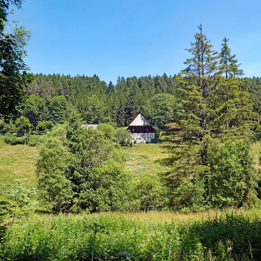 Mooshof Schwarz Dobel 07