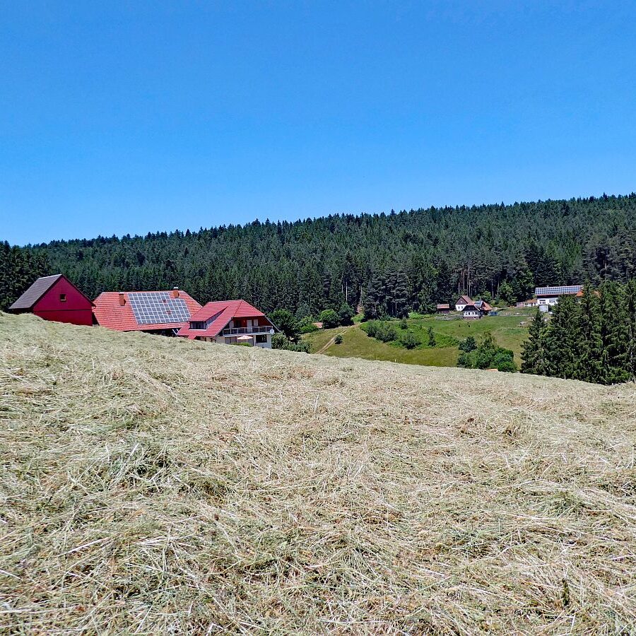 Mooshof Schwarz Dobel 08