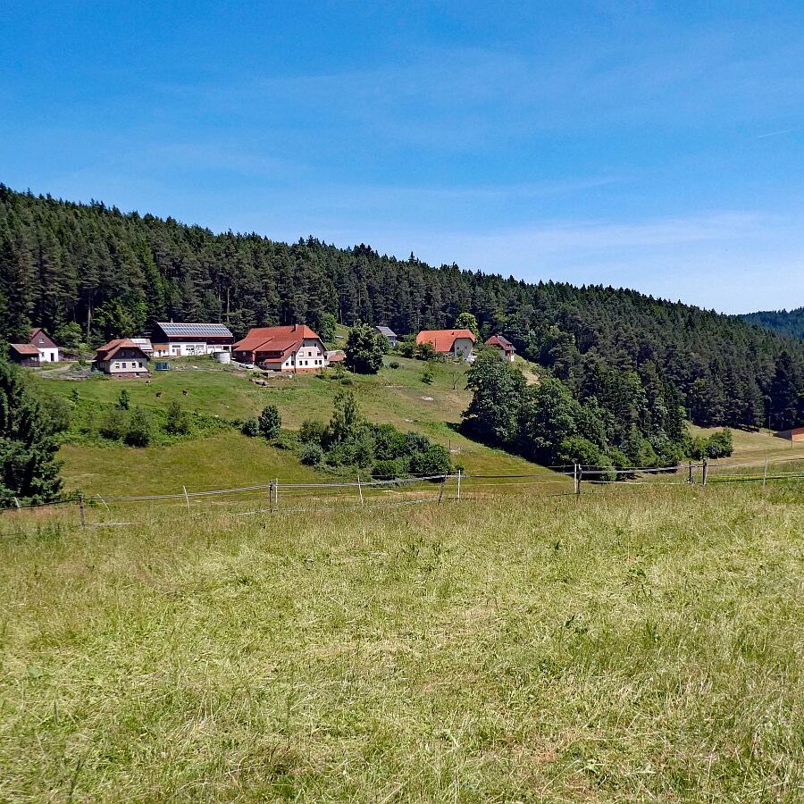 Mooshof Schwarz Dobel 09