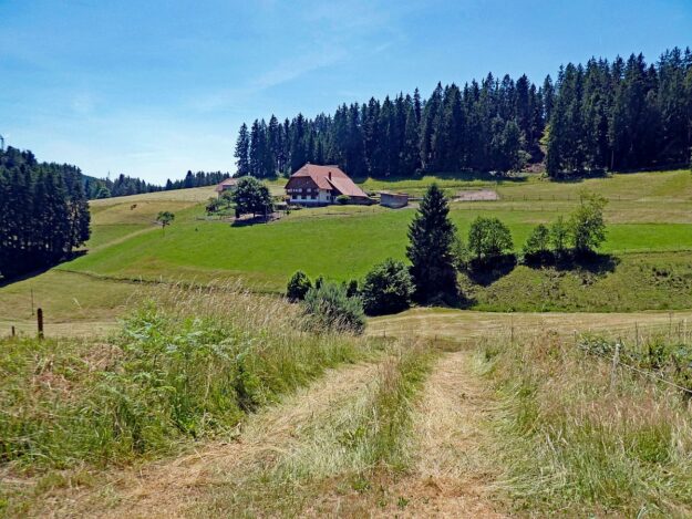 Mooshof Schwarz Dobel 10