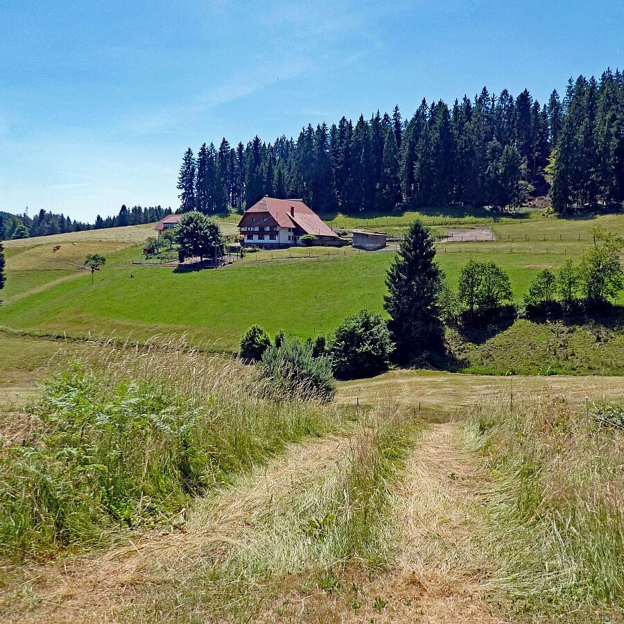 Mooshof Schwarz Dobel 10