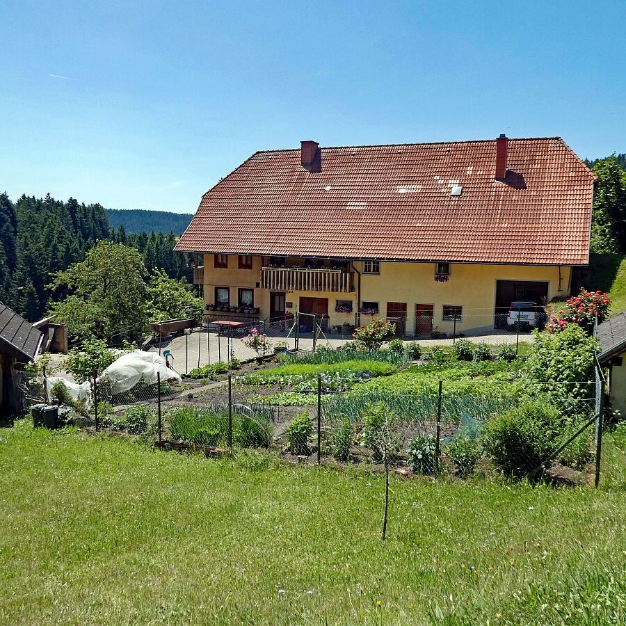 Mooshof Schwarz Dobel 11