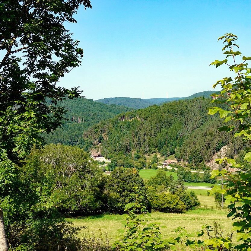 Berneck Tischneck 01