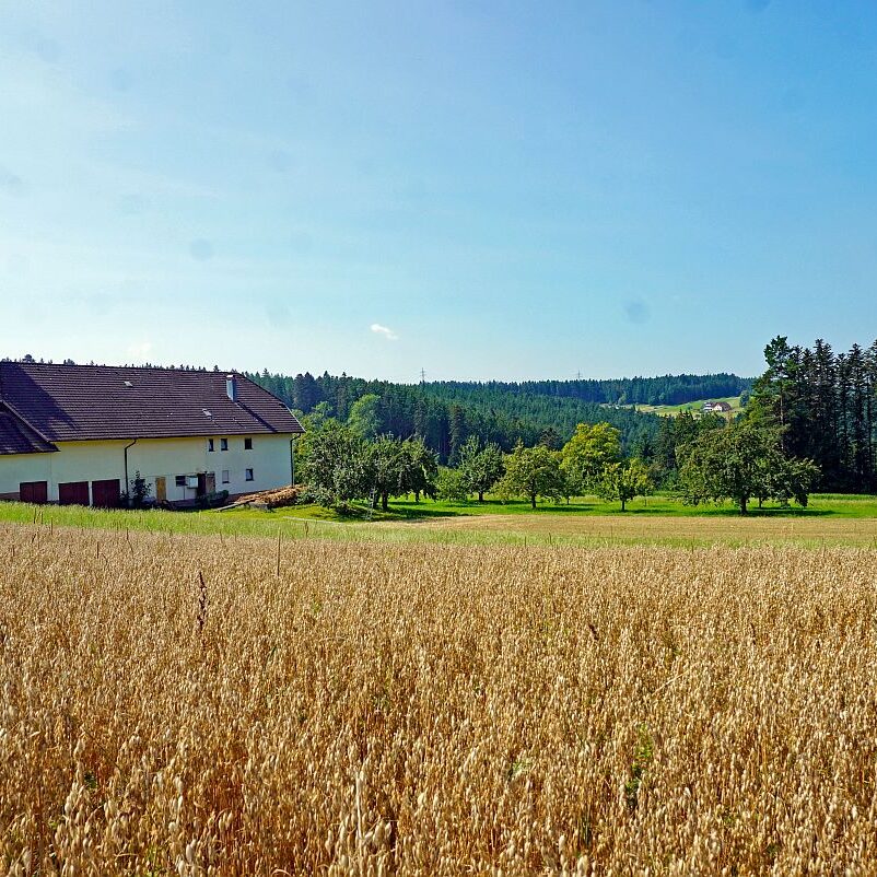 Berneck Tischneck 02