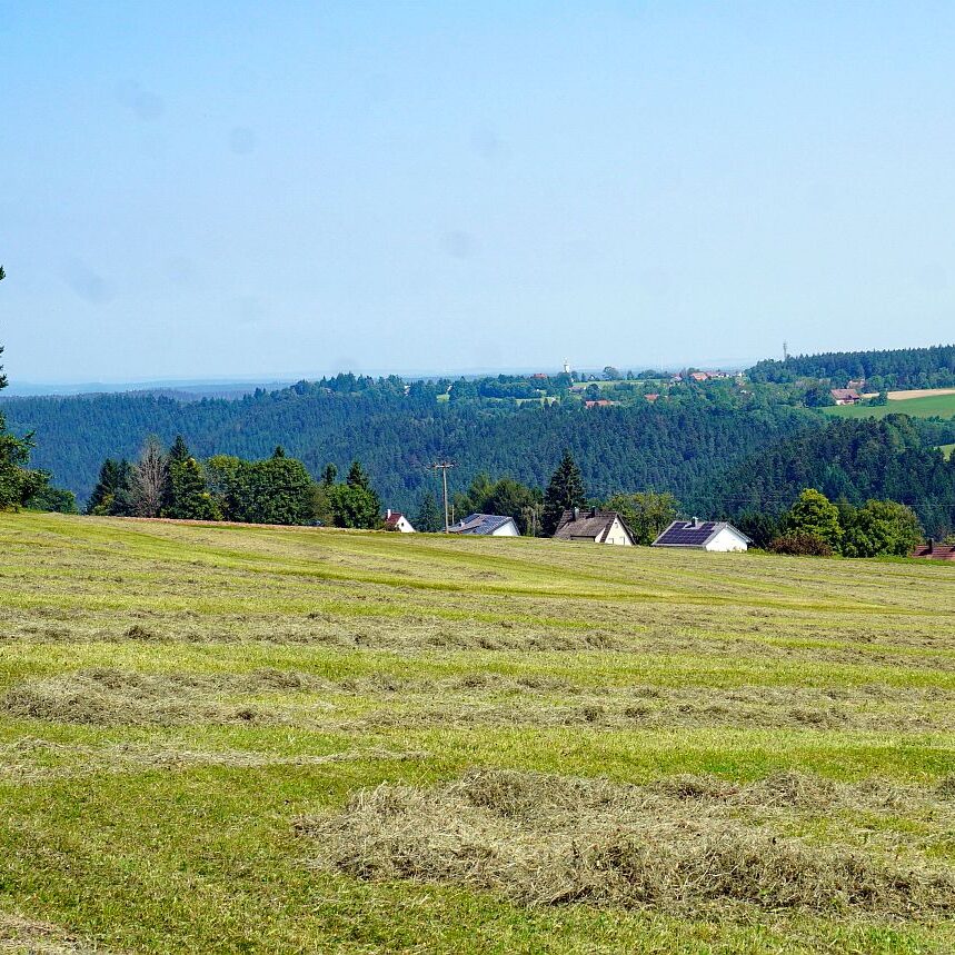 Berneck Tischneck 03