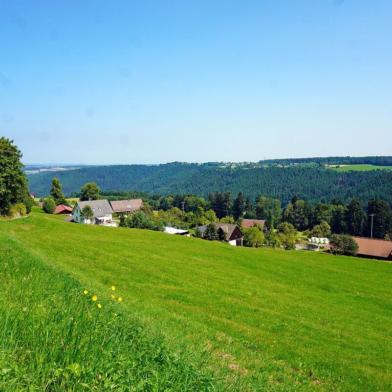 Berneck Tischneck 04