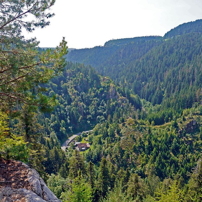 Berneck Tischneck 06