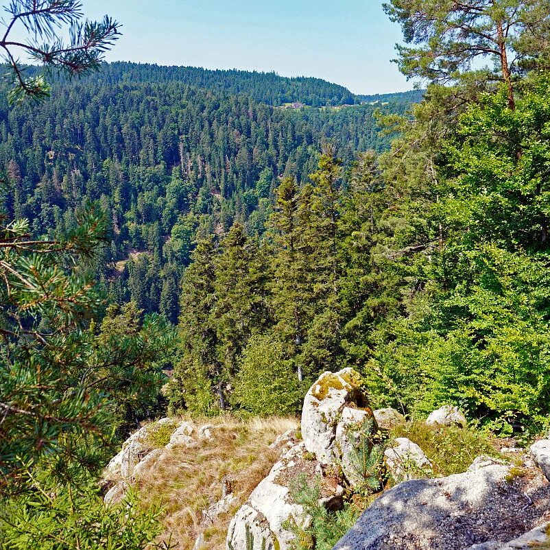 Berneck Tischneck 07