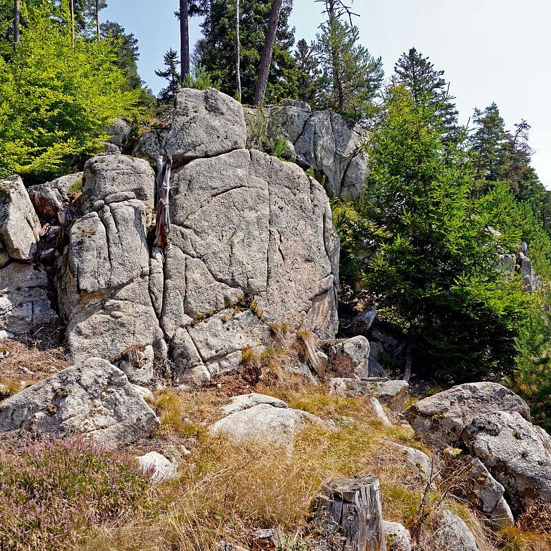 Berneck Tischneck 08