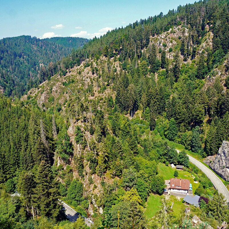 Berneck Tischneck 09