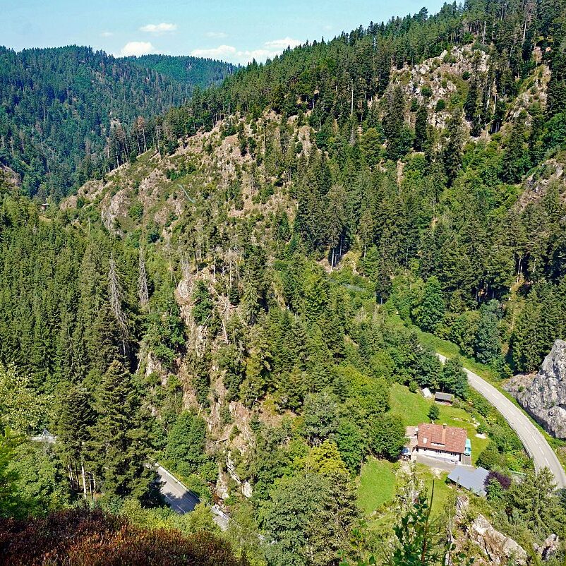 Berneck Tischneck 10