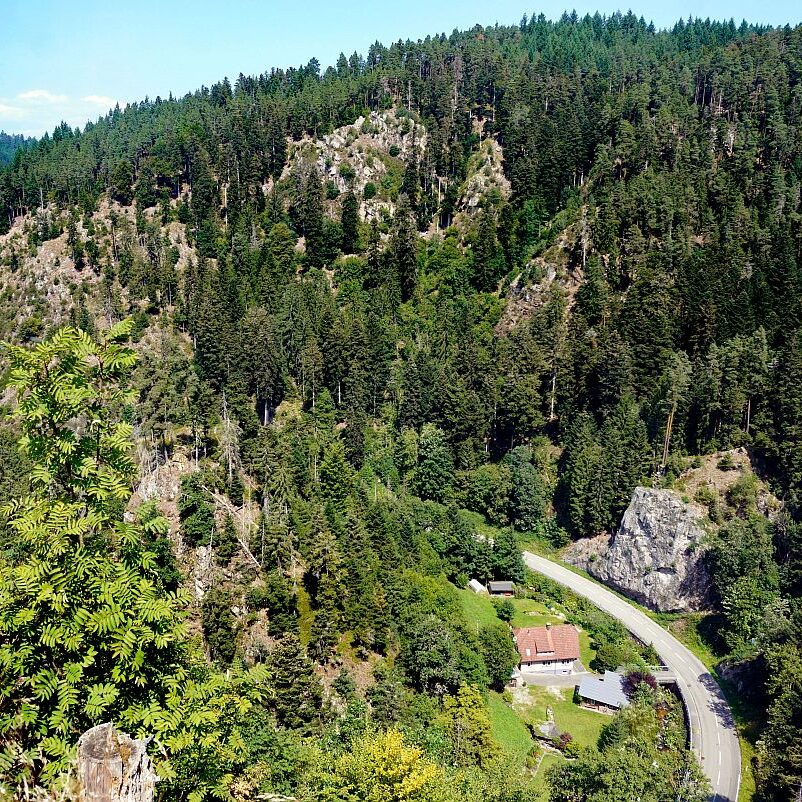 Berneck Tischneck 11