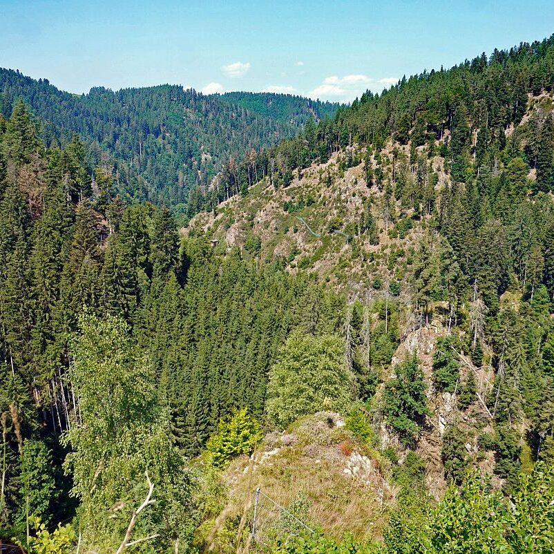 Berneck Tischneck 12